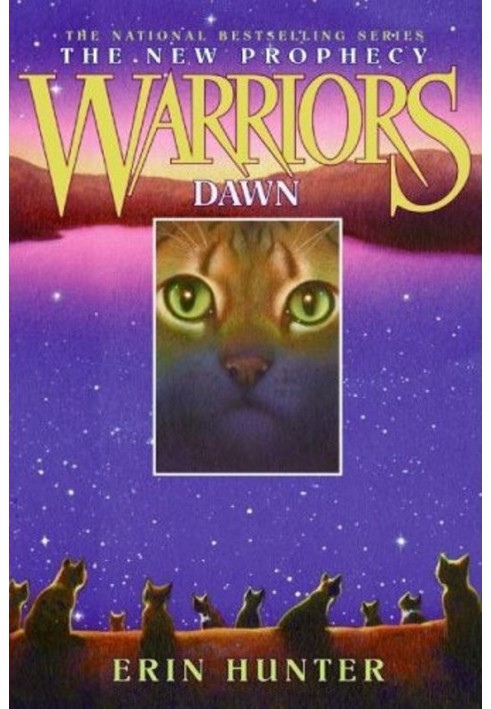 Book Dawn