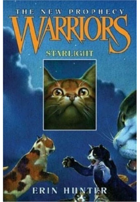 Book Starlight