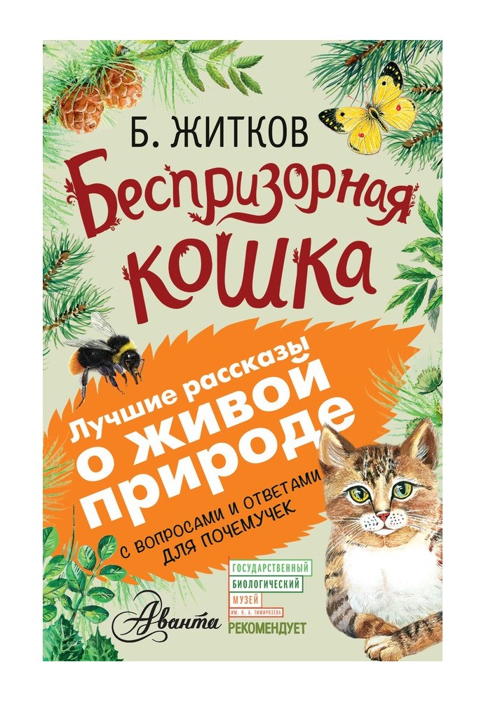 Book Stray cat