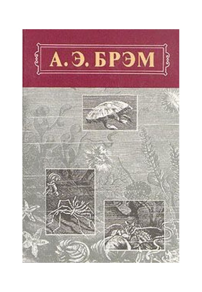 Book Animal Life, Volume III, Reptiles. Amphibians. Fish