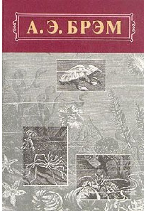 Book Animal Life, Volume III, Reptiles. Amphibians. Fish