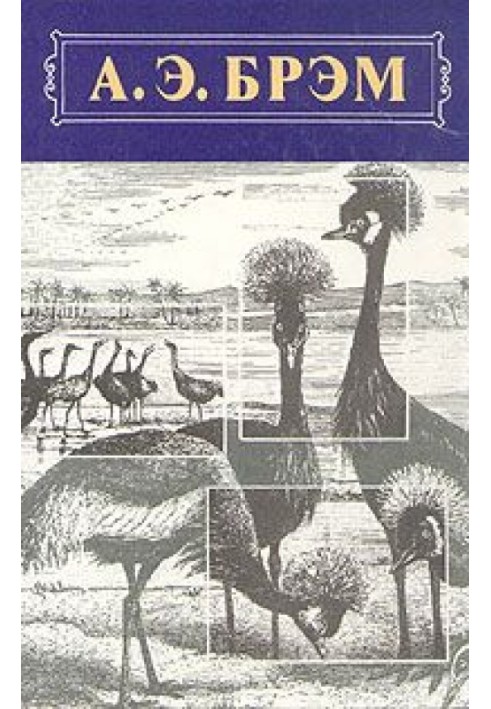 Книга Жизнь животных, Том II, Птицы