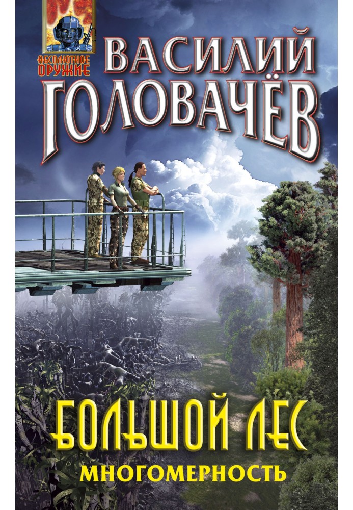 Book Multidimensionality