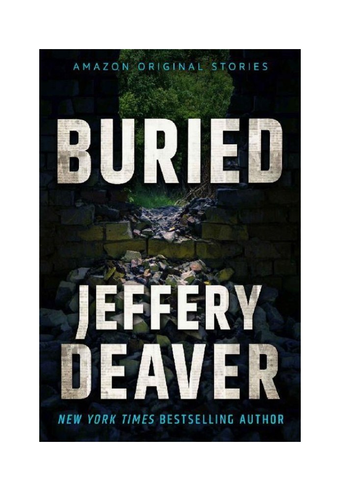 Book Buried (Hush collection)