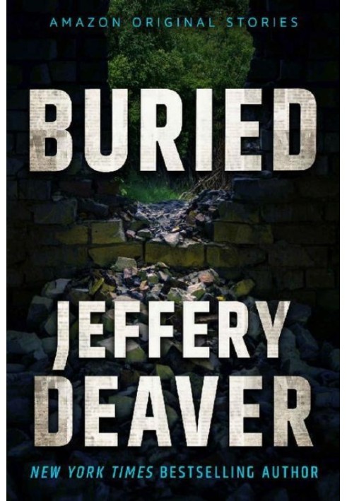 Book Buried (Hush collection)