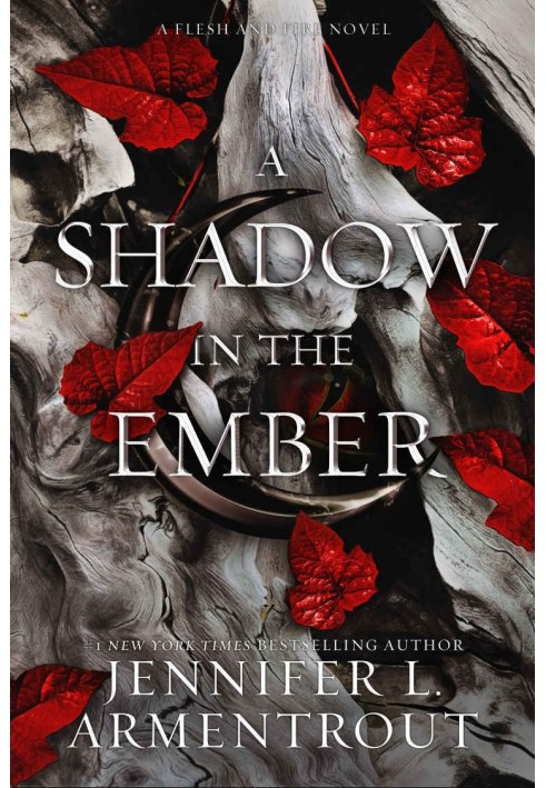 Book A Shadow in the Ember