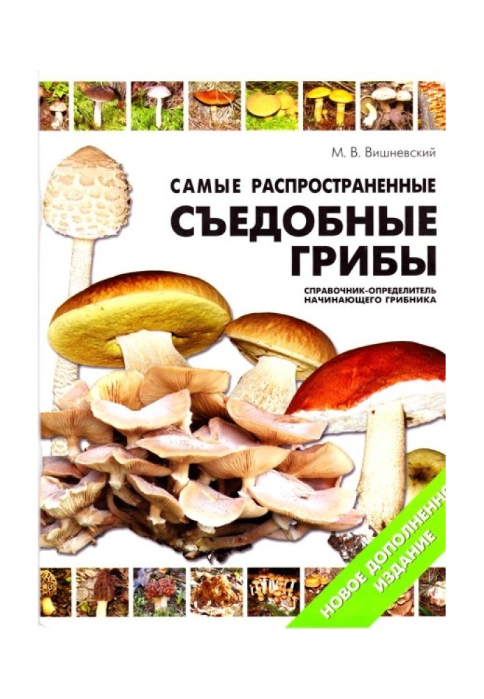 Книга Найпоширеніші їстівні гриби