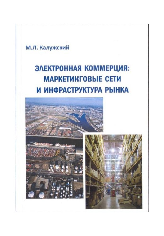 Книга Электронная коммерция: маркетинговые сети и инфраструктура рынка