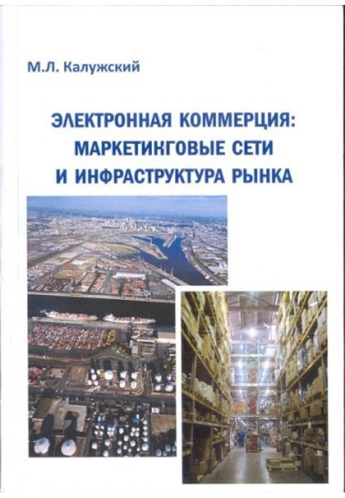 Книга Электронная коммерция: маркетинговые сети и инфраструктура рынка