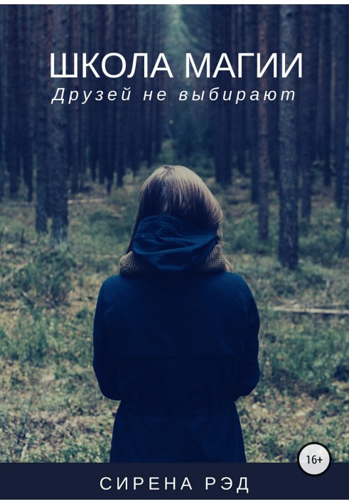 Книга Школа магии, или Друзей не выбирают