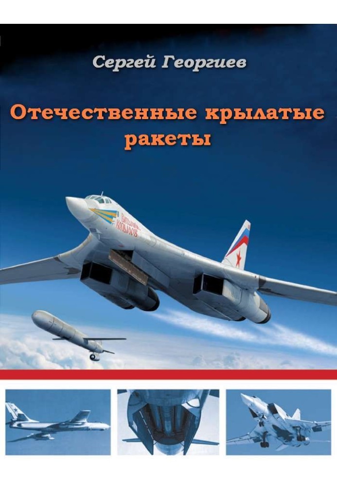 Book Domestic cruise missiles