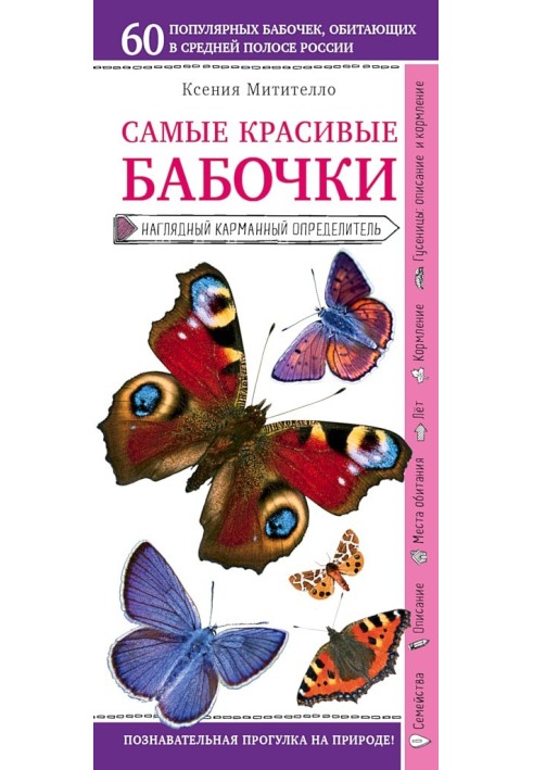 Book The most beautiful butterflies. Visual pocket locator