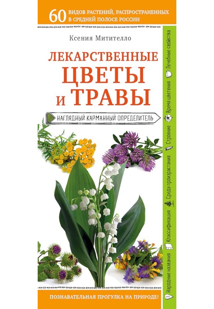Книга Лікарські квіти та трави. Наочний кишеньковий визначник