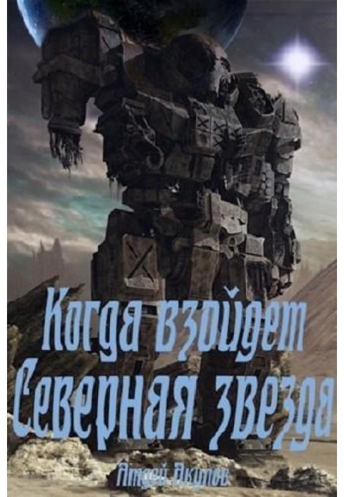 Book When does the North Star rise