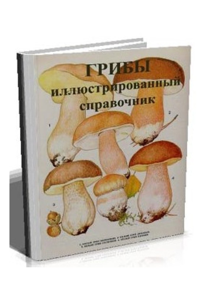 Книга Грибы. Иллюстрированный справочник