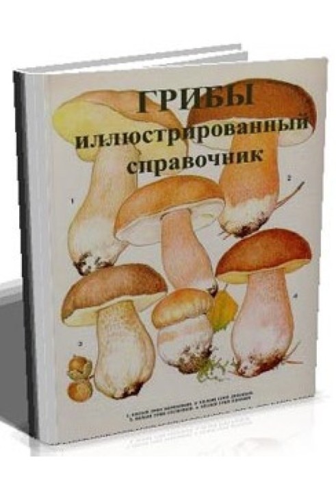Книга Грибы. Иллюстрированный справочник