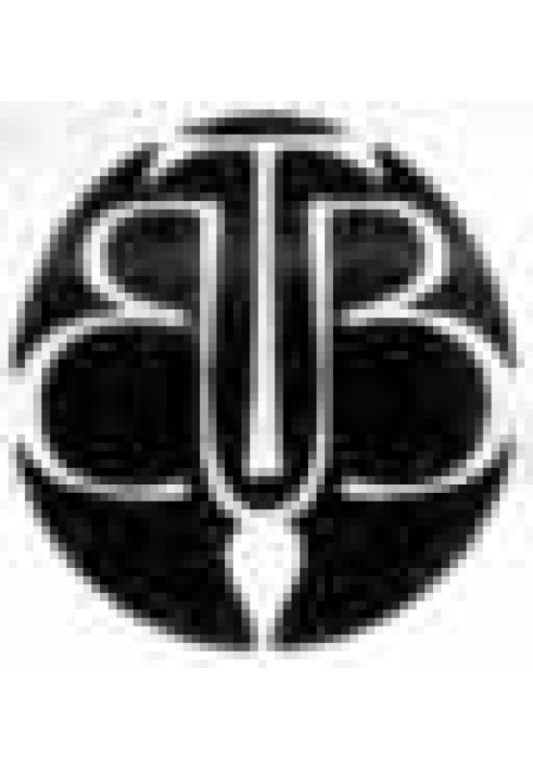 Book Spiritual teacher and student