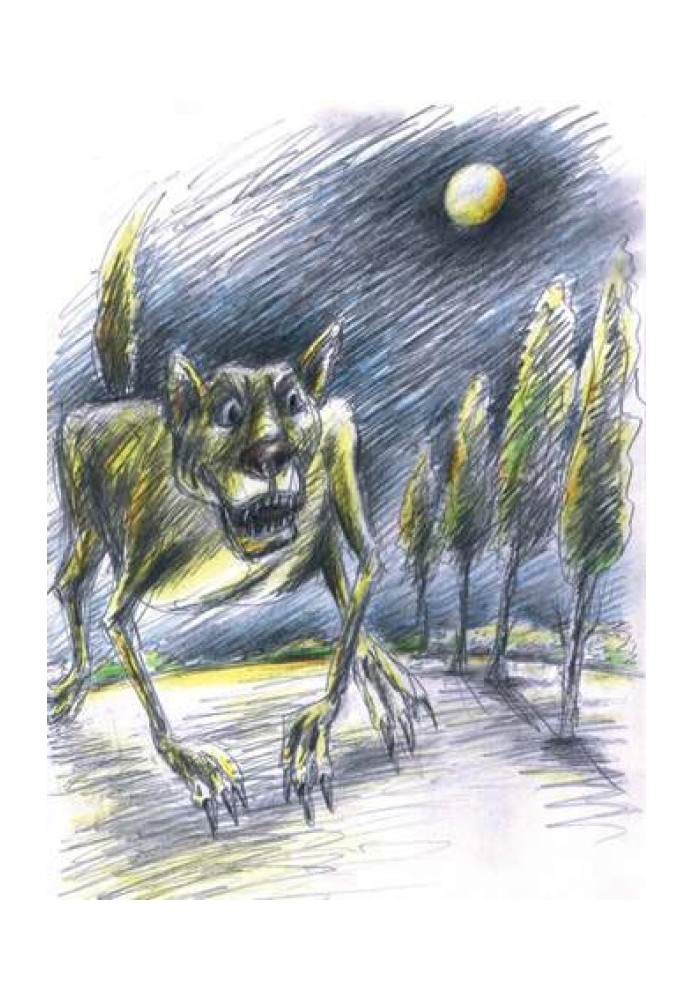 Book She-wolf