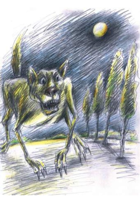 Book She-wolf