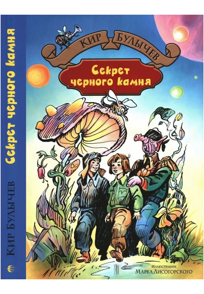 Книга Секрет черного камня