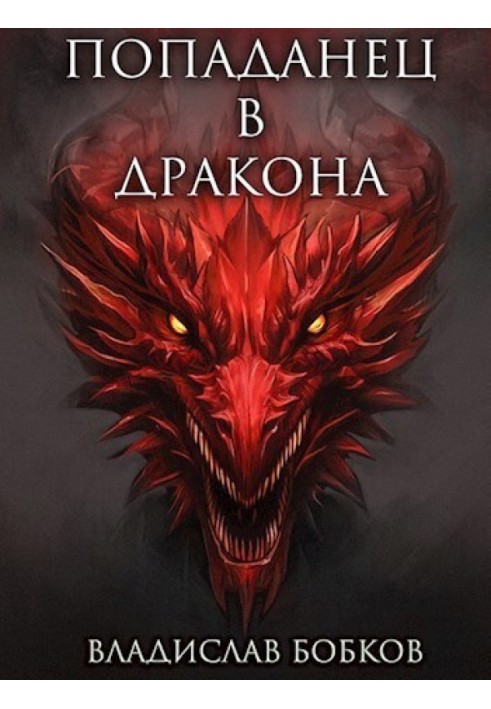 Book Hit the Dragon