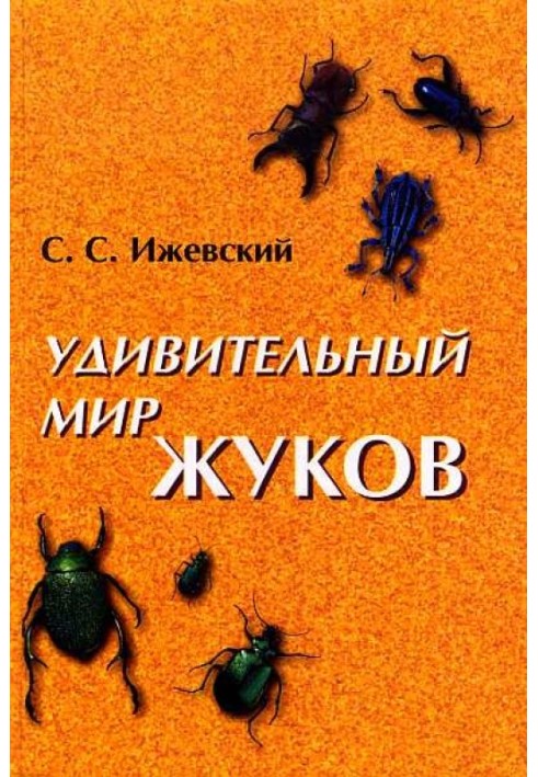 Book The amazing world of beetles