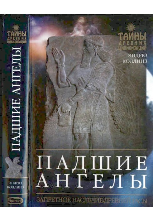 Книга Занепалі ангели