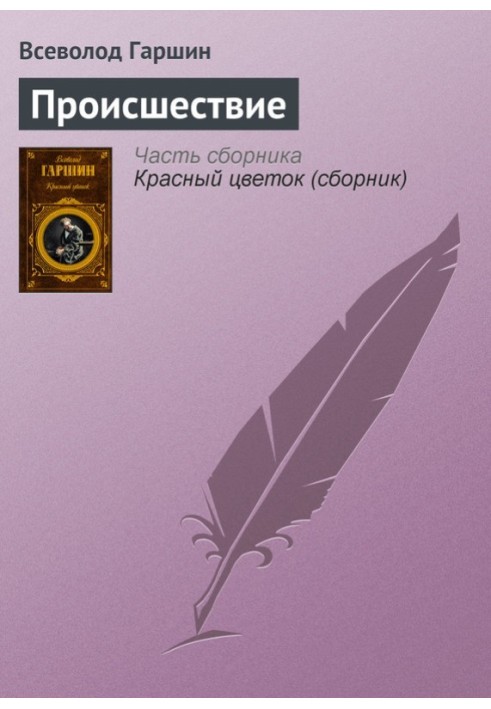 Книга Происшествие