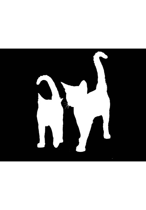 Book Cats In May