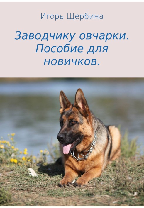 Book Shepherd breeder. A guide for beginners