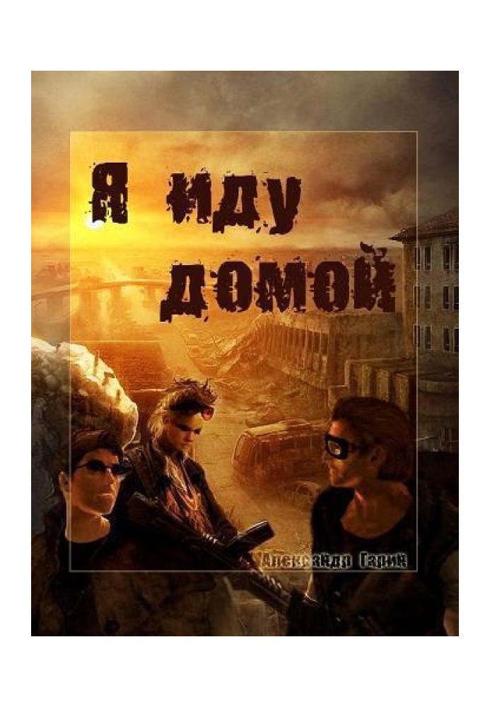 Book I'm going home (SI)