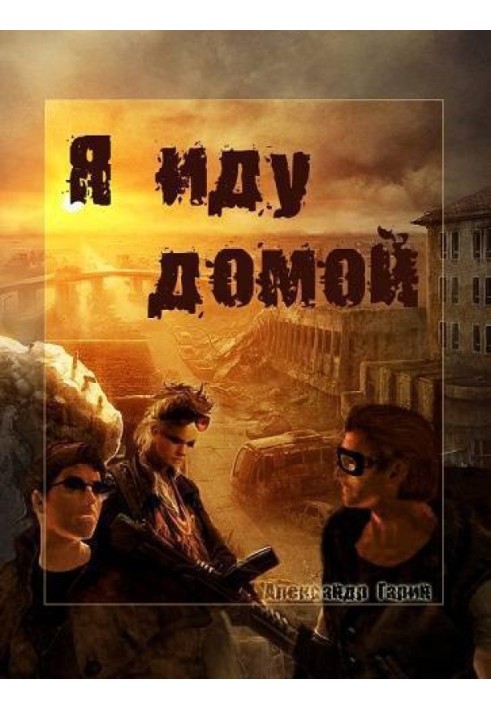 Book I'm going home (SI)