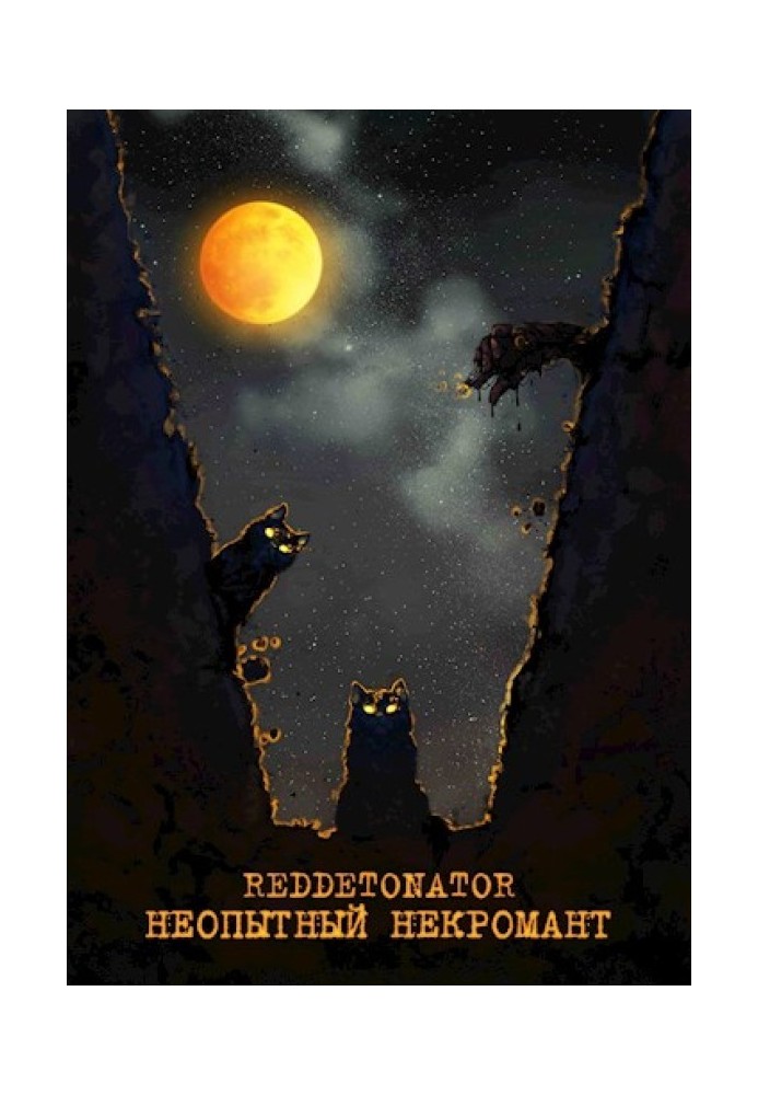 Book Inexperienced Necromancer
