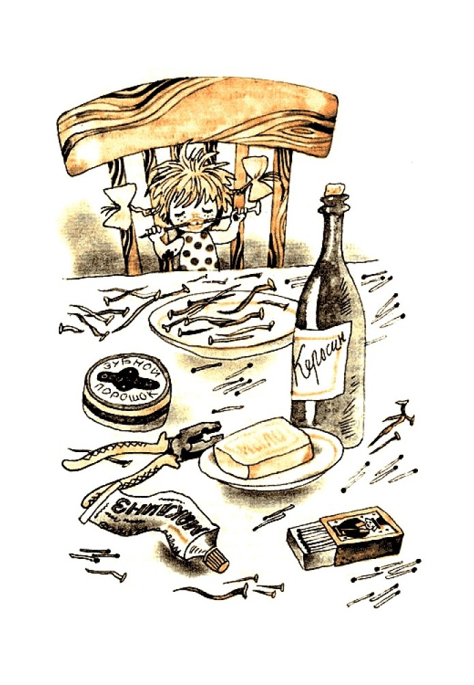 Книга Фенька
