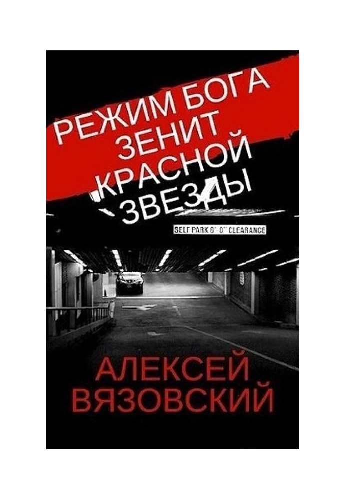 Книга Зенит Красной Звезды