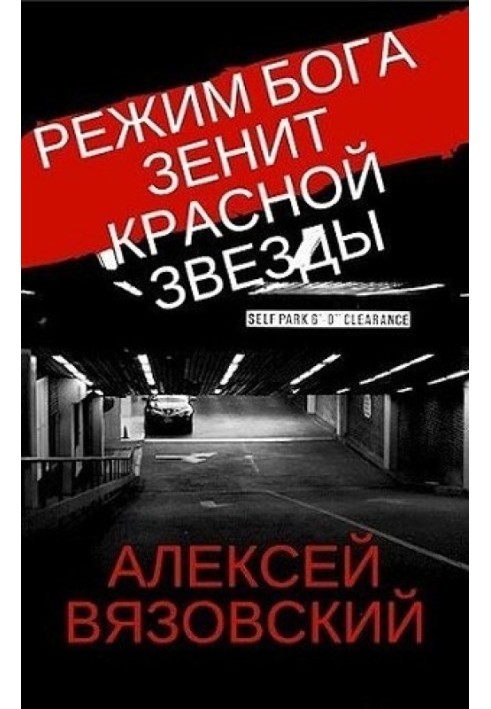 Книга Зенит Красной Звезды