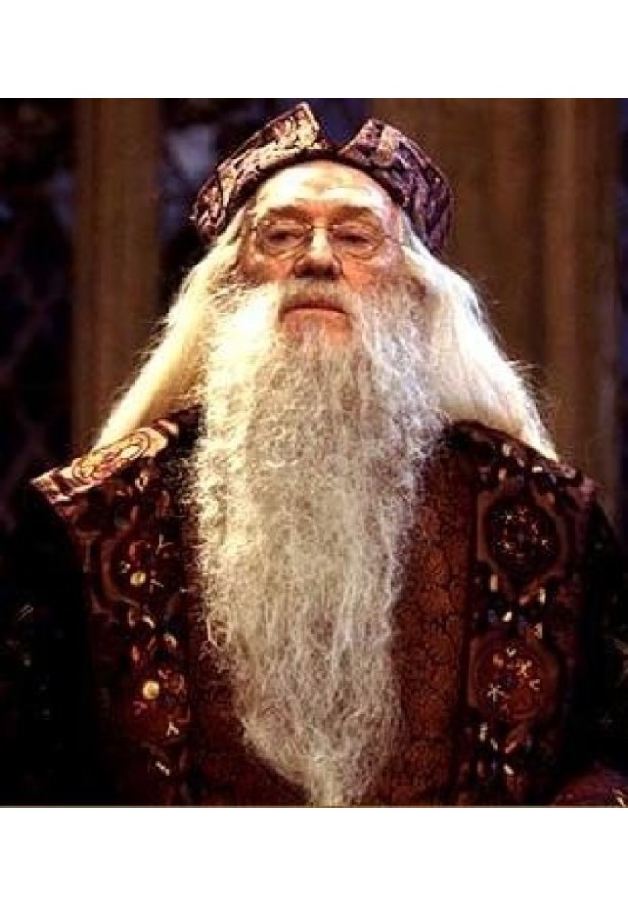 Book Professor Dumbledore's Great Game