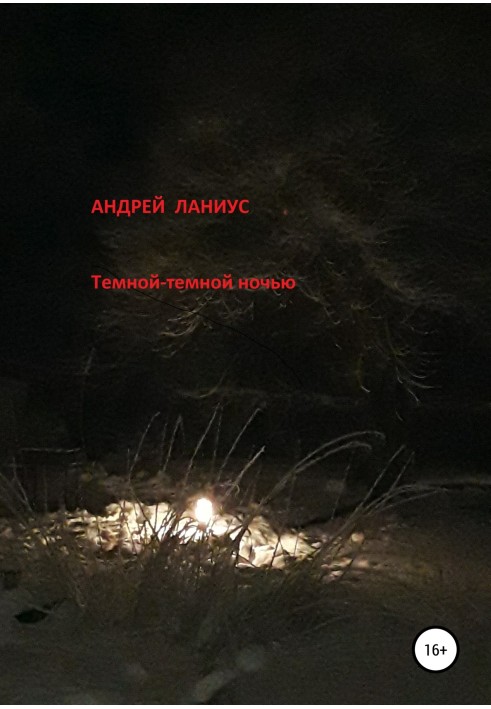 Книга Темной-темной ночью…