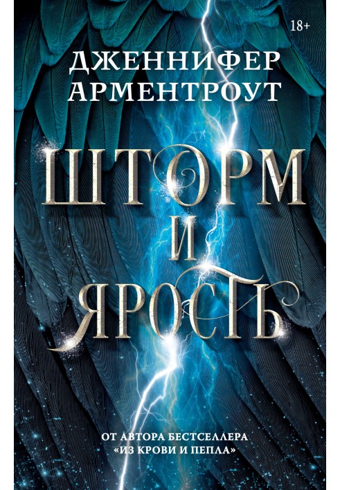 Book Storm and Fury