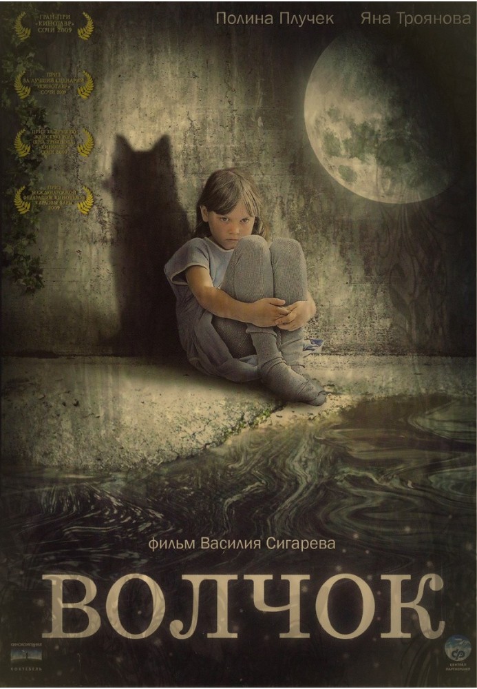 Книга Дзига