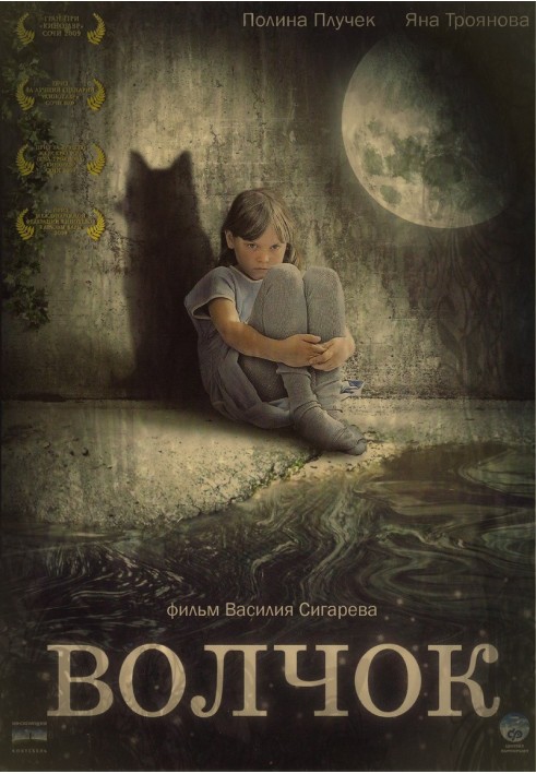 Книга Дзига