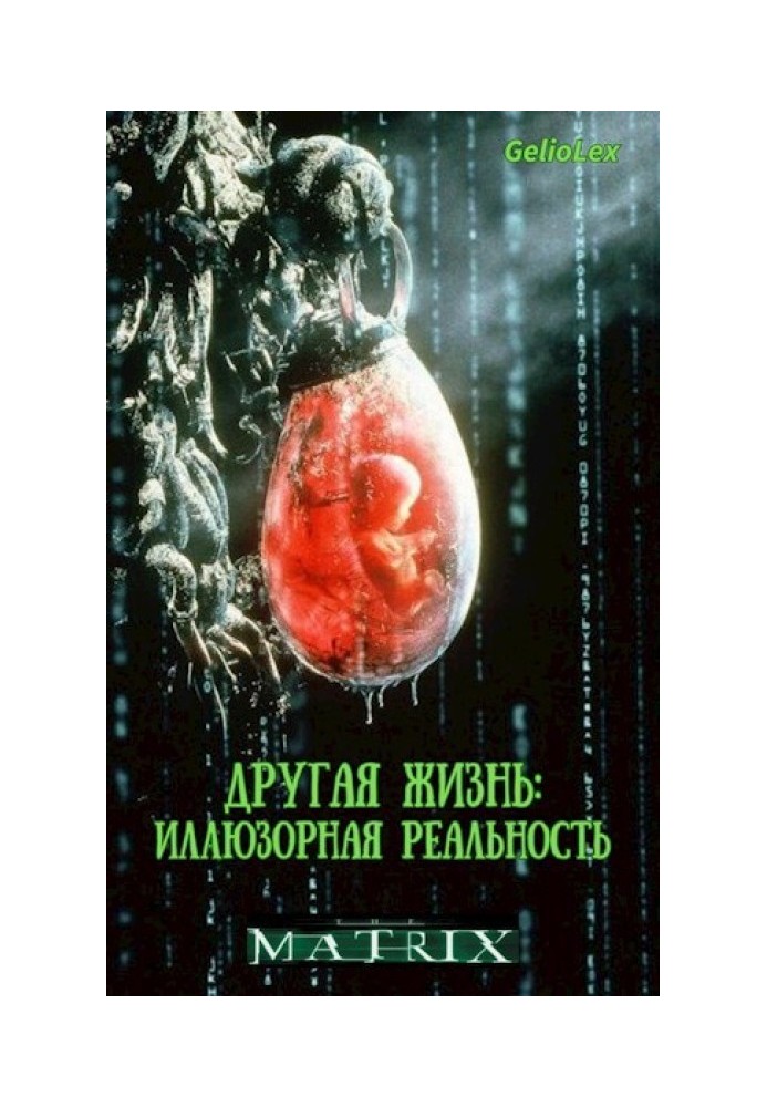 Book Another Life: Illusory Reality