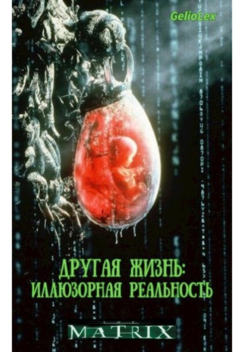 Book Another Life: Illusory Reality