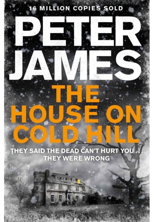 Book The House on Cold Hill