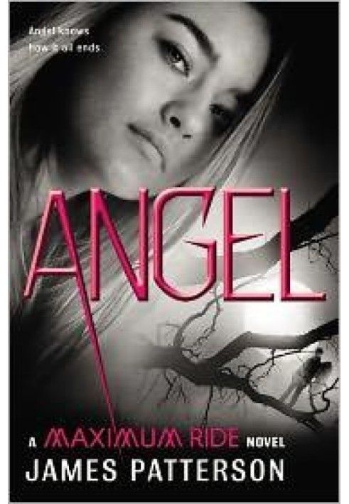 Book Angel