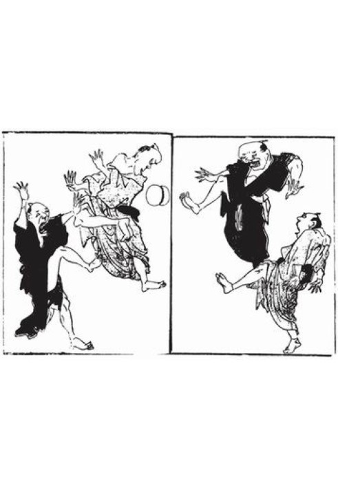 Book Modernization of Japan: body acceleration