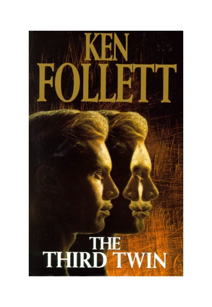 Book The Third Twin