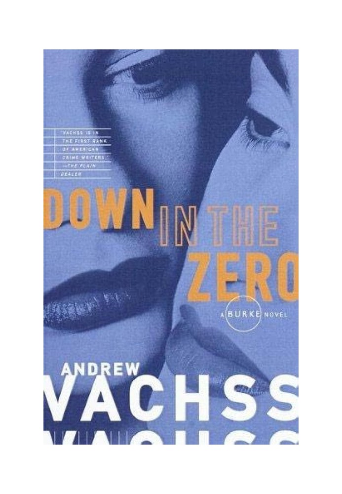 Book Down in the Zero