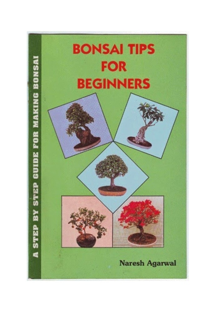 Book Bonsai Tips for Beginners