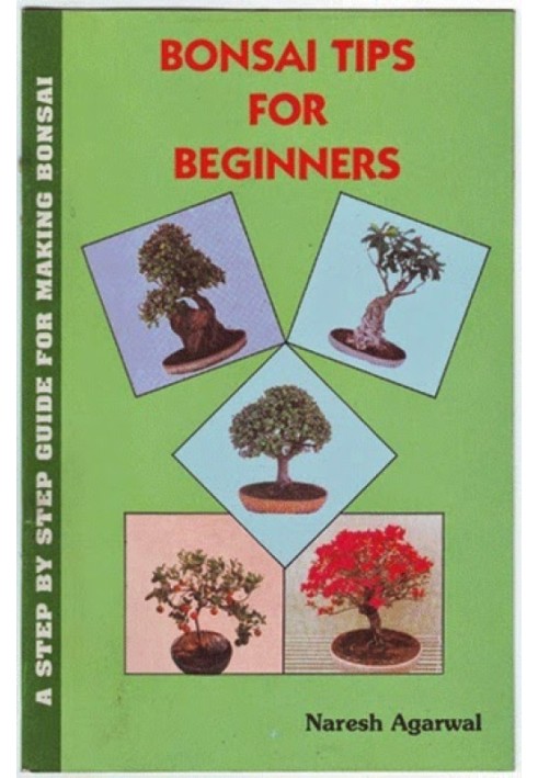 Book Bonsai Tips for Beginners
